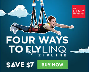 Fly Linq Zipline