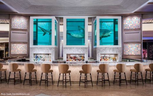 Shark at Cosmopolitan