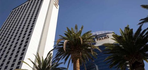The Palms