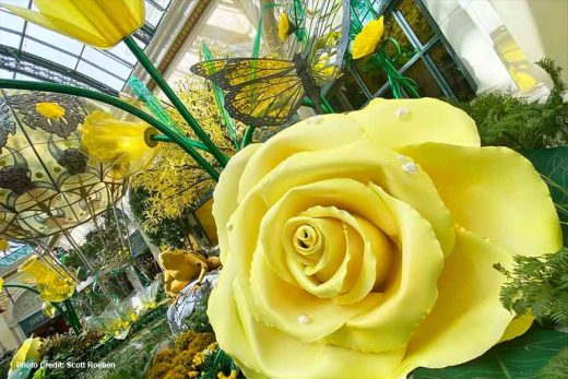 Bellagio Spring 2022