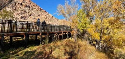 Red Springs Boardwalk