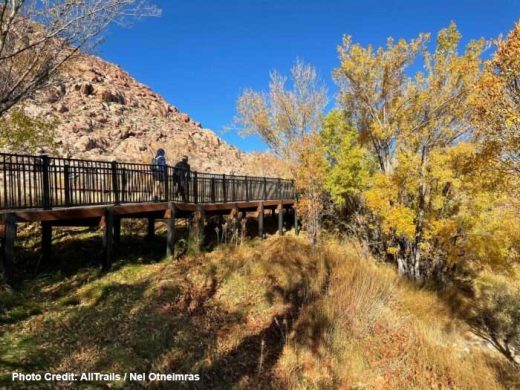 Red Springs Boardwalk